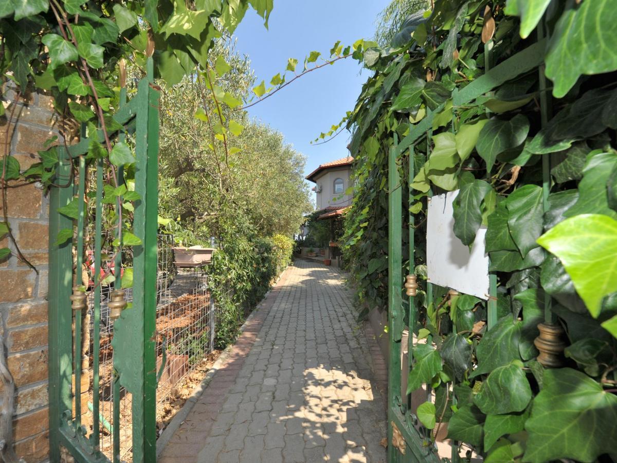 Alice Wonderland Home Nea Flogita Halkidiki מראה חיצוני תמונה